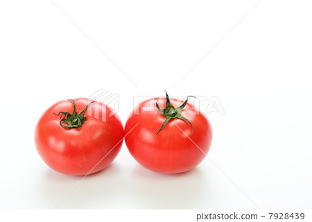 Tomato   7928439
