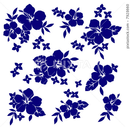 Hibiscus 7928660