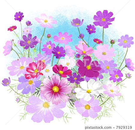 秋天的櫻桃樹 7929319