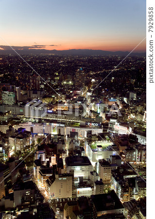 池袋夜景 7929858