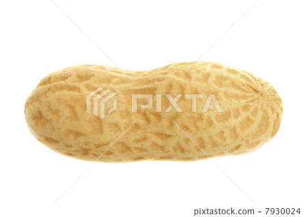 Peanut isolated 7930024