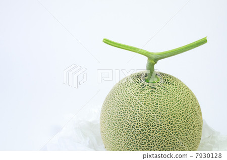 Mask melon in summer gift 7930128