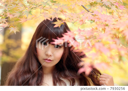 Young lady autumn leaves 7930256