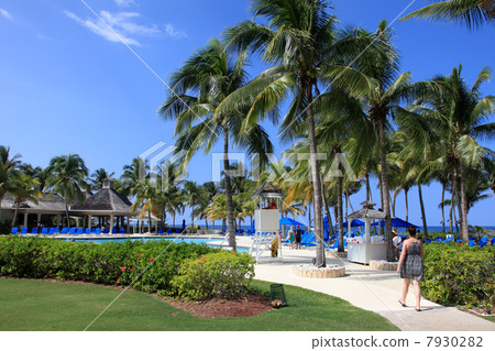 The beach at the Jamaican resort of Montego Bay The beach at the Jamaican resort of Montego Bay 7930282