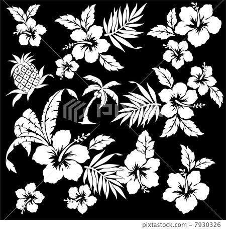 Hibiscus and pineapple 7930326