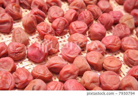 和Doyoboshi 7930794