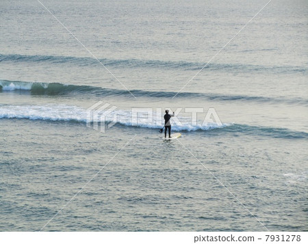 Paddle the paddle board 7931278