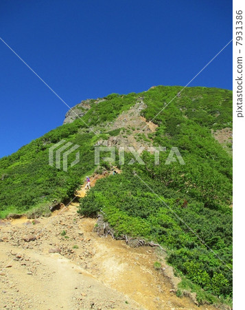 Amitabdake 7931386