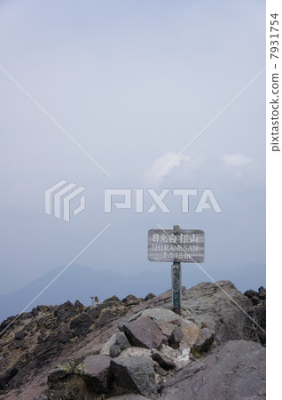 Nikko Shirane vol.1 7931754