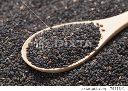 Black sesame 7931841