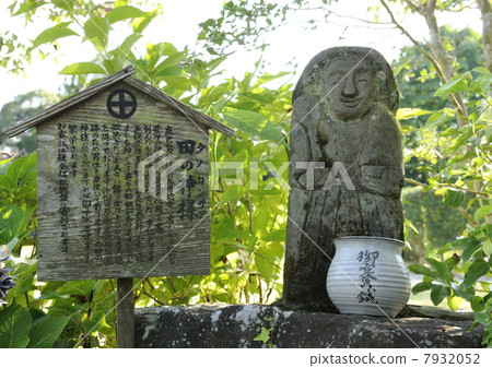 現在塔諾卡米 7932052