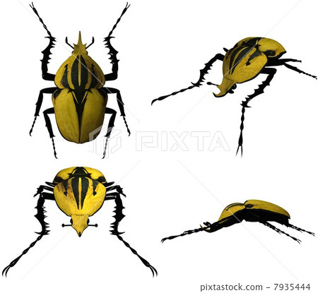 3DCG（Auberturu甲蟲） 7935444