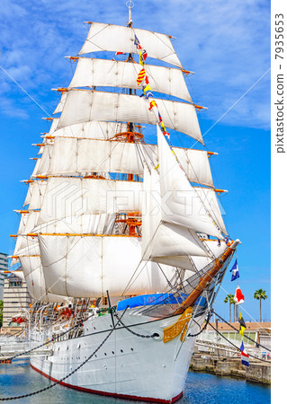 Nippon Maru的帆船展帆（橫濱市西區，日本丸紀念公園） 7935653