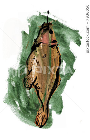 Anchor's hanging cut 7936050