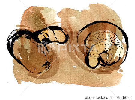 Shiitake mushroom 7936052