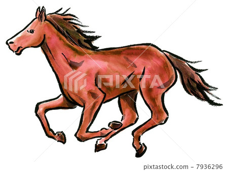 Running brown horse 7936296