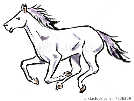Running white horse 7936299