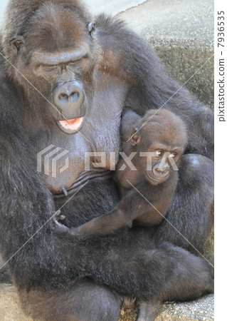 Nishigora的嬰兒和母親 Nishigora的嬰兒和母親 7936535