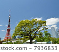 Tokyo Tower Tokyo Tower 7936833