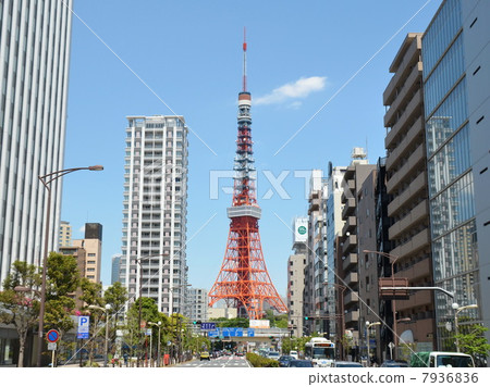 Tokyo Tower    7936836