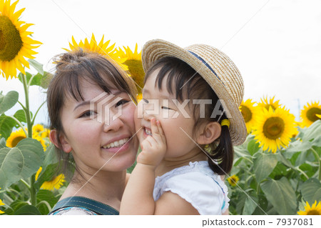 Smile and sunflower field Smile and sunflower field 7937081
