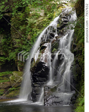 紅眼Shimpaki瀑布·千住瀑布 紅眼Shimpaki瀑布·千住瀑布 7937632