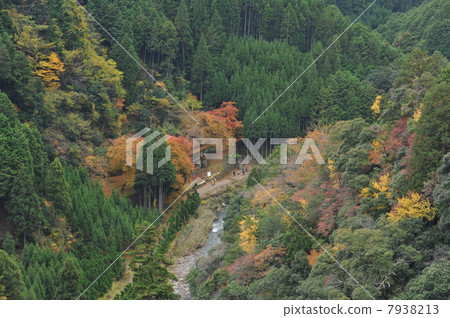 京都Jingoji Jingun氏族 7938213