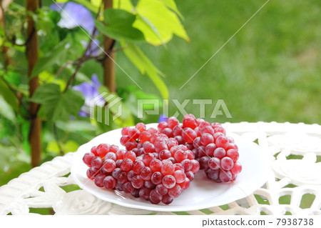 Chilled grapes Chilled grapes 7938738
