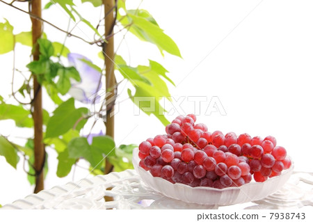 夏季陽台 7938743