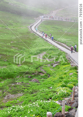 Tourists in Natsuyama Tourists in Natsuyama 7939016