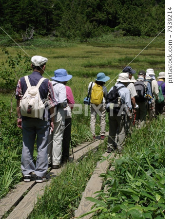 穿過志賀高原濕地的高級小組 7939214
