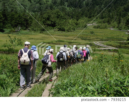穿過志賀高原濕地的高級小組 7939215