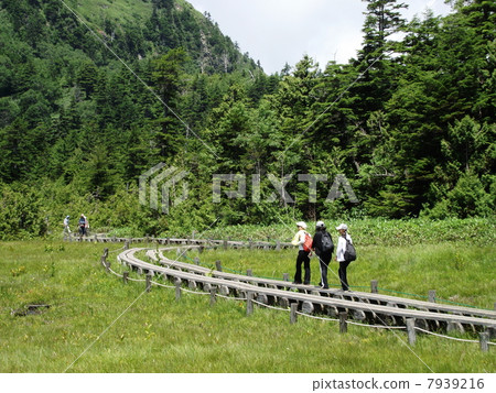 穿過志賀高原濕地的高級小組 穿過志賀高原濕地的高級小組 7939216