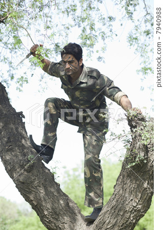 Young soldier on top of tree 7940988