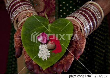 Close-up of Indian brides hand holding areca nut , flower petal and rice on leaf 7942112