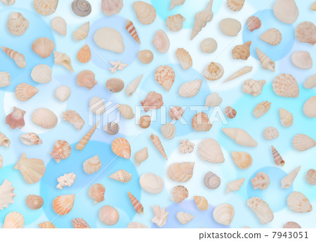 Seashell polka dot back 7943051