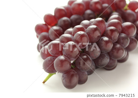果樹葡萄特拉華州 果樹葡萄特拉華州 7943215
