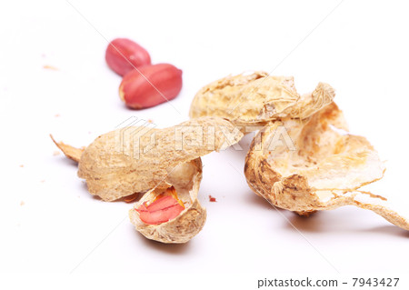 peanuts peel isolated on white background 7943427