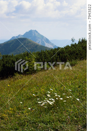 Tourist photo. Big Rozsutec (Velky Rozsutec) in the background. 7943822