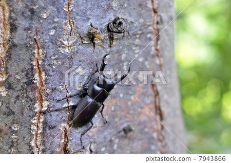 國和 國和 7943866