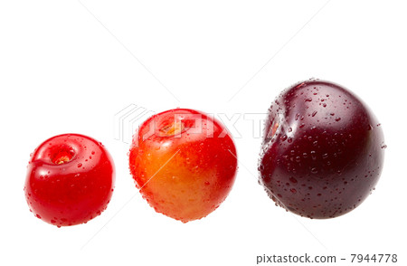 Three different cherries 7944778
