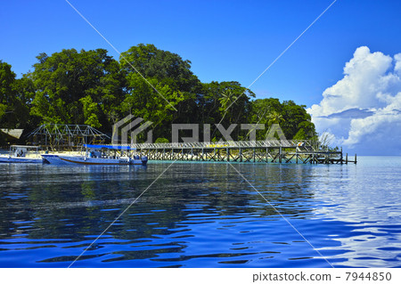 Sea of Sipadan 7944850