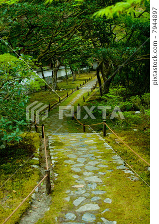 Saijoji garden 7944897