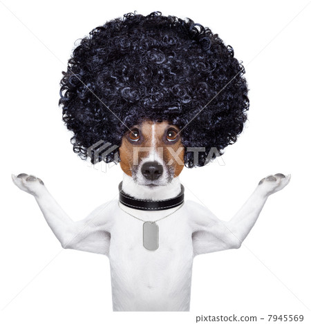 afro dog 7945569