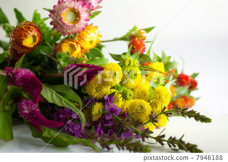 菊花花束 菊花花束 7946188