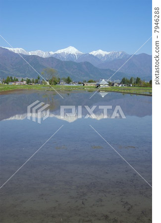 Spring Shinshu Azumino / North Alps Spring Shinshu Azumino / North Alps 7946288