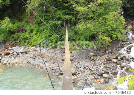 吊橋 7946483