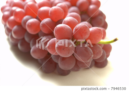 特拉華 特拉華 7946530