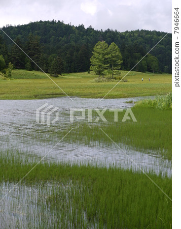 Ozenuma Ozenuma 7946664