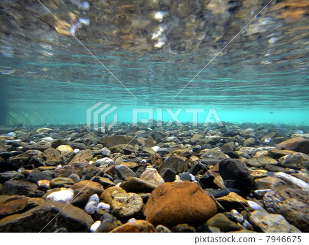 Shooting underwater in the river 7946675
